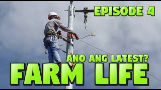 Farm Life Ep. 4 Farm improvement continues... ( Ilonggo Vlog )