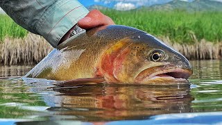 Jackson Hole Fly Fishing - JD High Country Outfitters