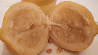 طريقة تحضير الحامض المصير  Easy Preserved Lemons Recipe