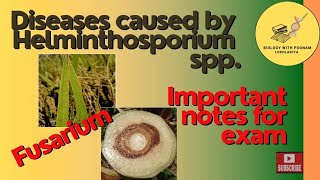 Fungal diseases #Helminthospora# Fusarium #disease#host#BPL