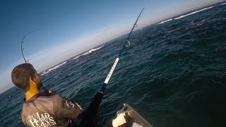 Herring, Squid and Southern Barracuda... Lure Fishing Perth, Western Australia. (IZS Ep.3)