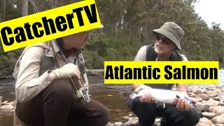 Catcher TV Ep. 4: Atlantic Salmon on the Huon River, Tasmania