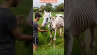 Man rescue a weak horse 🐎 #animals #africananimals4k #tiger #horse #africawildanimals #lion