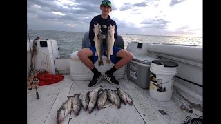 Lake Erie Walleye Jigging 2 Man Limit and more(2024)