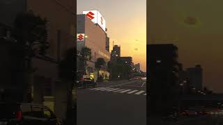 スズキ夕焼けより明るい。