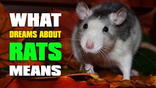 What Dreams About Rats Mean? - Dream Meanings and Interpretations