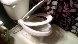 Bemis Slow Close, Elongated, Adjustable Toilet Seat in white