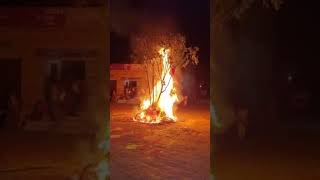 Rajasthani Style Holika Dahan 2024 #holi