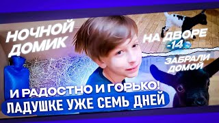 И РАДОСТНО И ГОРЬКО ! ЛАДУШКЕ УЖЕ СЕМЬ ДНЕЙ.НА ДВОРЕ МИНУС 14.