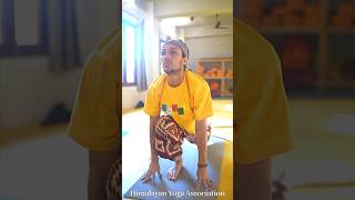 108 Surya Namaskar | Yoga Teacher Trainings with Full of Events in Rishikesh #yttc