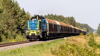 ST48-038 z wagonami krytymi