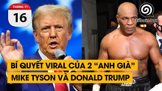 Bí quyết Viral của 2 "anh già" Mike Tyson và Donald Trump | TỔ BUÔN 247