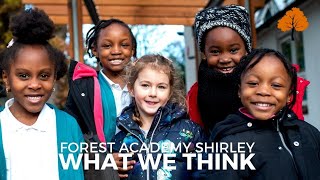 What We Think About Forest Academy