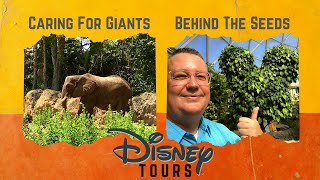 🇺🇸DISNEY TOURS: Caring For Giants (Elephant Tour) and Behind The Seeds (Greenhouse Tour)