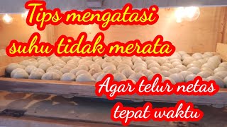 Tips mengatasi suhu tidak merata