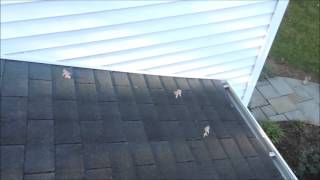 Source of Roof Leaks | Roof Repair | Reston, VA | Roofer911