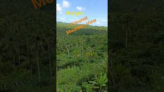 Coconut Mountain View Siargao #seaman #coconutmountainview #siargao #family #vacation2023