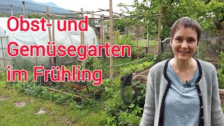 Gartenrundgang Anfang Mai: Was wächst, was blüht, Chaos und erste Ernte