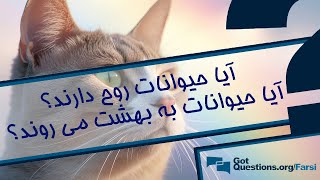 آیا حیوانات به بهشت می روند؟ آیا حیوانات هم روح دارند؟