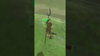 Shield surfing where you definitely shouldn't shield surf #shorts #botw #botwshorts #nintendo #zelda