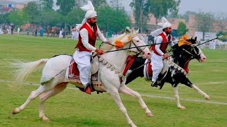 Village Festival of Horses Tent Pegging • Horse Neza Bazi • Horse Maila • Taunsa Sharif