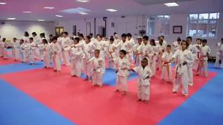 Zen-Shin Juniors shotokan karate basics