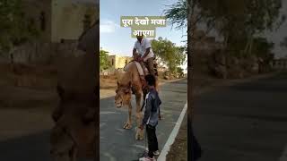 #short #new_whatsapp_status #new_funny_video