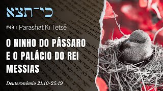 49. Parashat Ki Tetsê (Quando saíres)