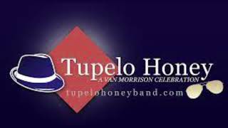 TUPELO HONEY A VAN MORRISON CELEBRATION  “LIVE” (Audio) @ HAVANA’S  IN NEW HOPE PA. #DPD93 🥁