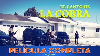 EL CANTO DE LA COBRA 🎬 Película Completa en Español