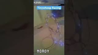 Tinywhoop Basement Racing #tinywhoop #fpv #fpvracing