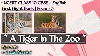 A Tiger In The Zoo Poem:3 | First Flight English Book NCERT Class 10 CBSE | By Poet Leslie Norris