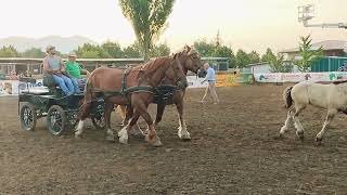 work becomes🐴art on horseback🐎