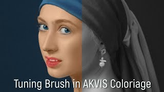 Тонирующая кисть в AKVIS Coloriage 13: Добавьте цвета своим фотографиям!