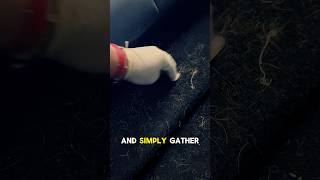 It only takes one step! #detailing #shortvideo #carcleaning