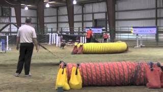 Sunday Classes at the Texas USDAA Regional