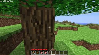 New Minecraft Evolution Survival Episode 1 - Alpha 1.0.0