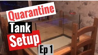 Quarantine tank setup episode 1