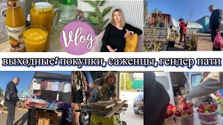 VLOG: ТЫКВЕННЫЙ СОК ПЮРЕ/В поисках ДОСКИ/на РЫНКЕ/ Купили ГРУШУ/ГЕНДЕР ПАТИ и др./Делаем ОПОРЫ