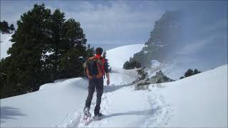 La Croix de l'Alpe (Chartreuse)