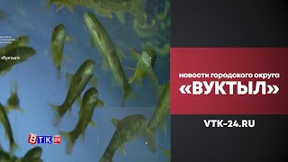 Рыбохозяйственный комплекс в Вуктыле