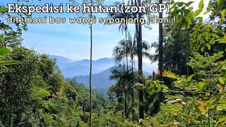 Ekspedisi ke hutan GP.