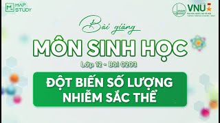 [Sinh Học HSA] - LỚP 12 - BÀI 0203 - ĐỘT BIẾN SỐ LƯỢNG NHIỄM SẮC THỂ | Mapstudy