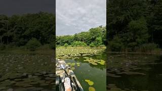 Snagov lake, RO - kayaking