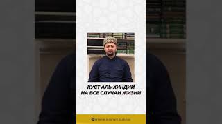 Куст Аль-Хинди на все случаи жизни