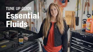 Tune Up Guide: Essential Fluids