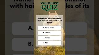 Wildlife day quiz|solved|top questions|No.14