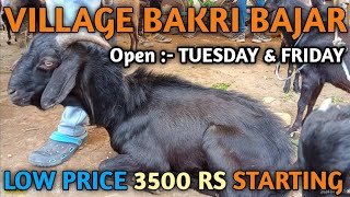 VILLAGE BAKRI BAJAR:- LOW PRICE 3500 RS STARTING! OPEN :- TUESDAY & FRIDAY RANCHI JHARKHAND