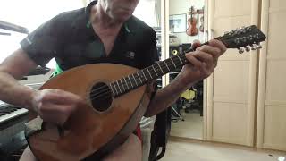 Tenpenny Bit played on Fylde Mandola