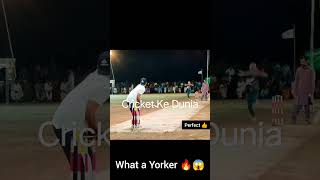 Yorker Kaisa dalen😱🏏 || #shorts #cricket #viral #subscribe.